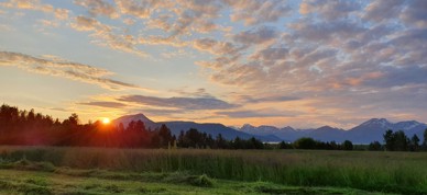 Slåttonn Balsfjord (Foto Renate Andreassen)