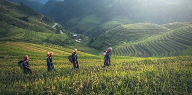 Småbruk kvinner i landskap internasjonalt - Foto: Pixabay/Pexels