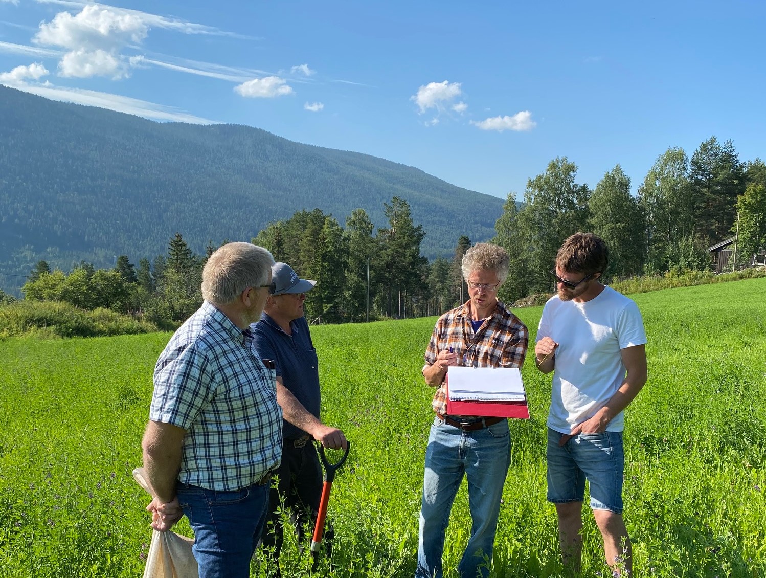 Karbonbinding I Fjellandbruket | Buskerud|Norsk Bonde- Og Småbrukarlag